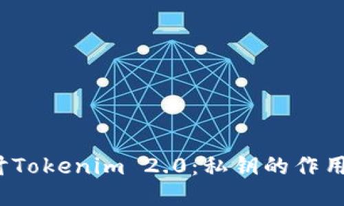 深入探讨Tokenim 2.0:私钥的作用与安全性