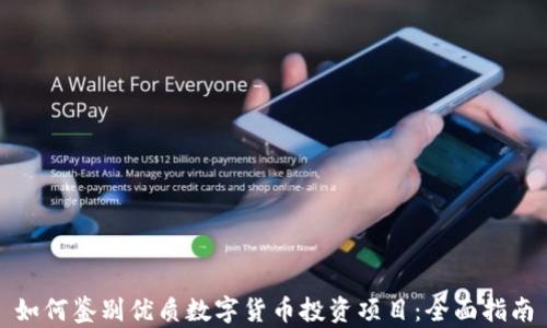 
如何鉴别优质数字货币投资项目：全面指南