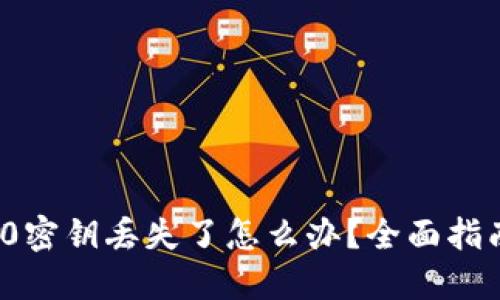 TokenIm 2.0密钥丢失了怎么办?全面指南与解决方案
