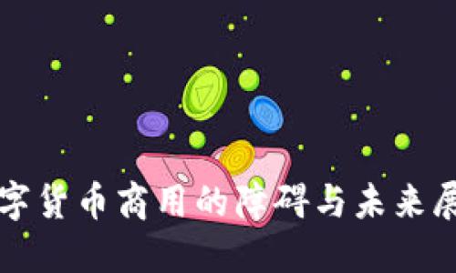 数字货币商用的障碍与未来展望