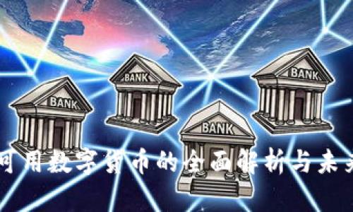 中国可用数字货币的全面解析与未来展望