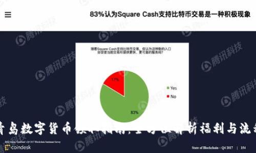 青岛数字货币领取指南:全方位解析福利与流程