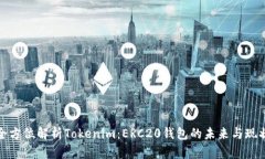 全方位解析Tokenim：ERC20钱