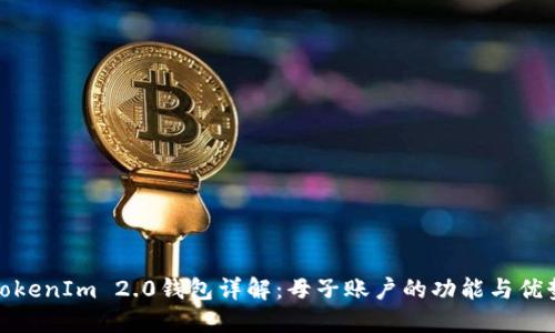 TokenIm 2.0钱包详解:母子账户的功能与优势