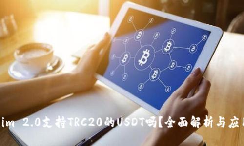 Tokenim 2.0支持TRC20的USDT吗?全面解析与应用场景