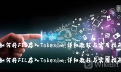 如何将FIL存入Tokenim：详细