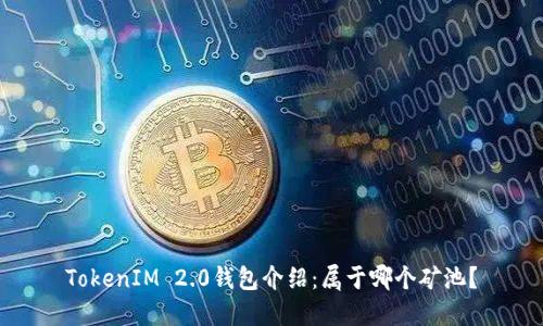 TokenIM 2.0钱包介绍:属于哪个矿池?
