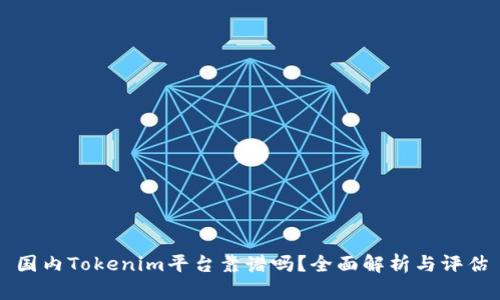 国内Tokenim平台靠谱吗？全面解析与评估