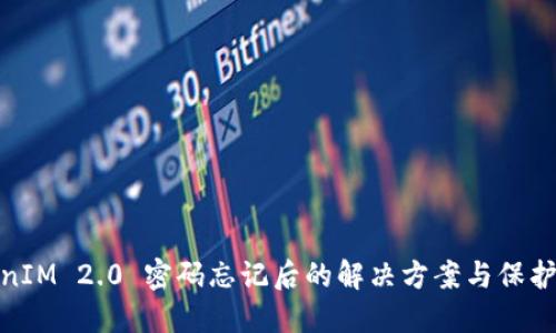 TokenIM 2.0 密码忘记后的解决方案与保护措施