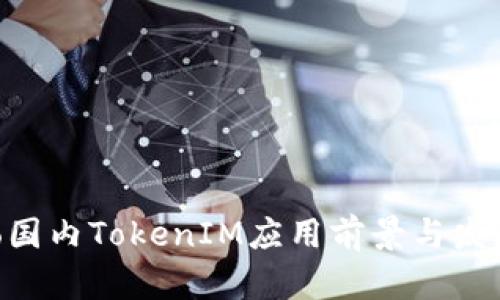 deuxTiao国内TokenIM应用前景与发展潜力分析