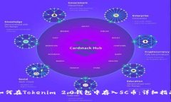 如何在Tokenim 2.0钱包中存入