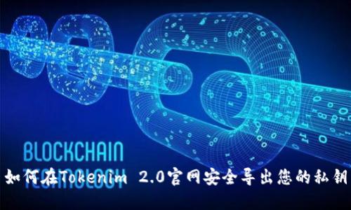 如何在Tokenim 2.0官网安全导出您的私钥