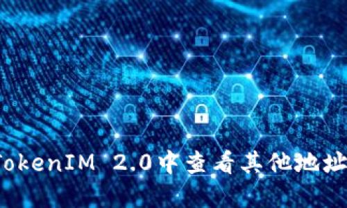 如何在TokenIM 2.0中查看其他地址的信息?