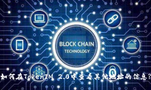 如何在TokenIM 2.0中查看其他地址的信息?