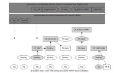 如何将币从OKEx转入Tokeni