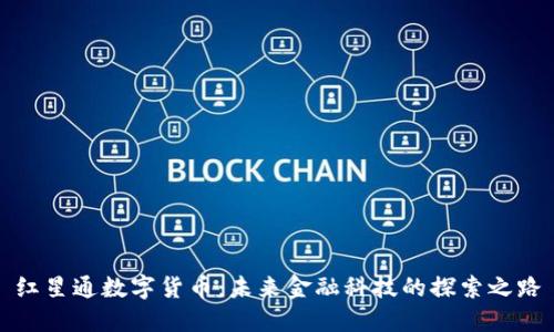 红星通数字货币:未来金融科技的探索之路