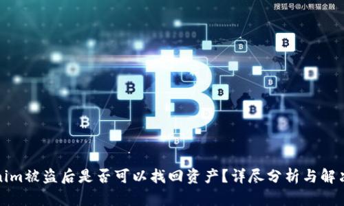 Tokenim被盗后是否可以找回资产?详尽分析与解决方案