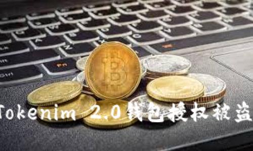 如何防止Tokenim 2.0钱包授权被盗:全面指南