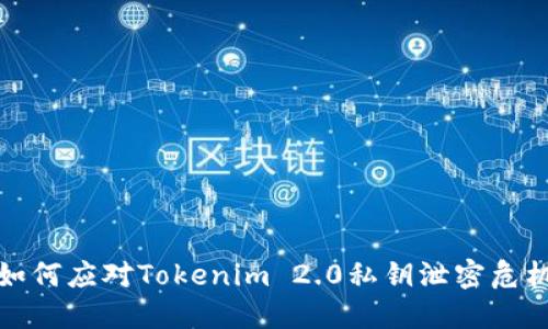 如何应对Tokenim 2.0私钥泄密危机