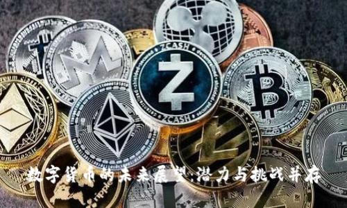 数字货币的未来展望:潜力与挑战并存