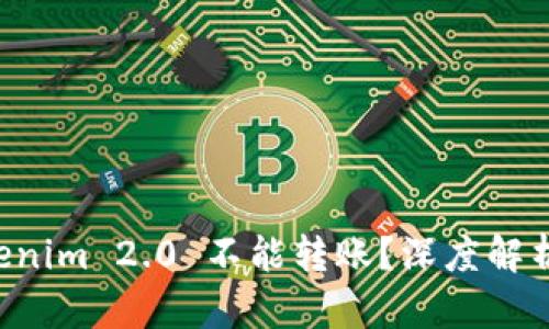 为什么 Tokenim 2.0 不能转账?深度解析与解决方案