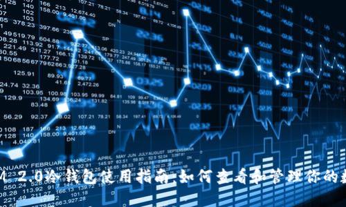 TokenIM 2.0冷钱包使用指南:如何查看和管理你的数字资产