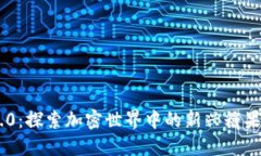 Tokenim 2.0：探索加密世界中