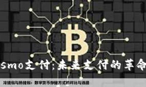 全面解析Cosmo支付:未来支付的革命性解决方案
