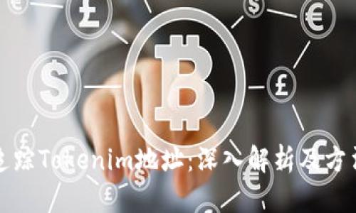 如何追踪Tokenim地址：深入解析及方法指南
