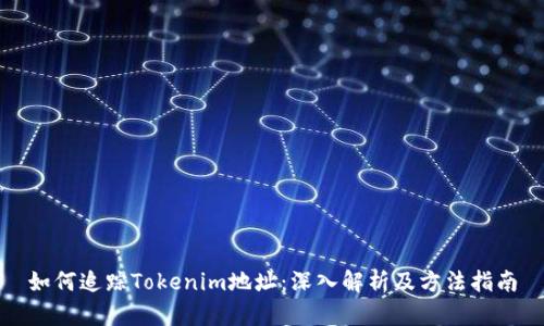 如何追踪Tokenim地址：深入解析及方法指南