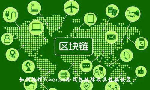 如何处理Tokenim冷钱包故障及其数据恢复