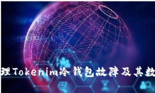 如何处理Tokenim冷钱包故障及其数据恢复