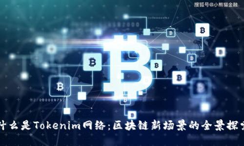 什么是Tokenim网络：区块链新场景的全景探索