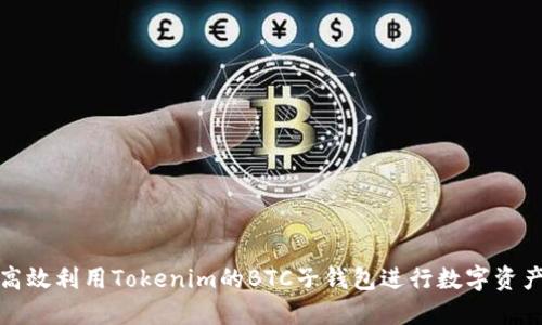 如何高效利用Tokenim的BTC子钱包进行数字资产管理