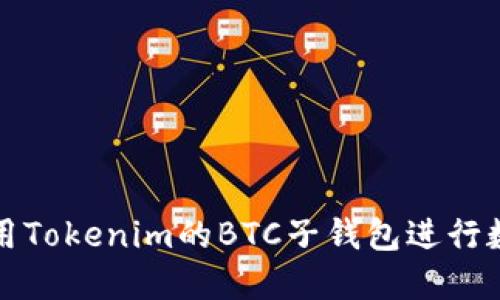 如何高效利用Tokenim的BTC子钱包进行数字资产管理