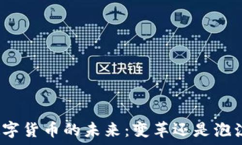 数字货币的未来:变革还是泡沫?