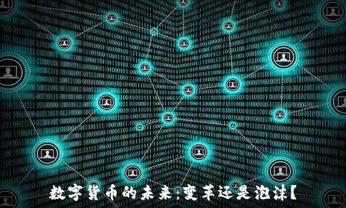 数字货币的未来:变革还是泡沫?