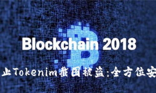 如何防止Tokenim截图被盗:全方位安全指南