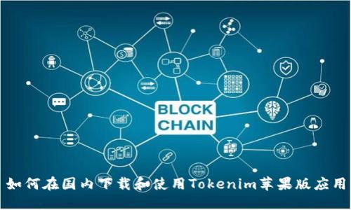 如何在国内下载和使用Tokenim苹果版应用