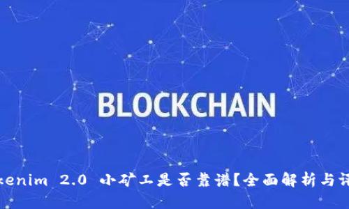 Tokenim 2.0 小矿工是否靠谱?全面解析与评估