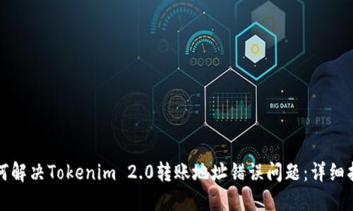 如何解决Tokenim 2.0转账地址错误问题：详细指南