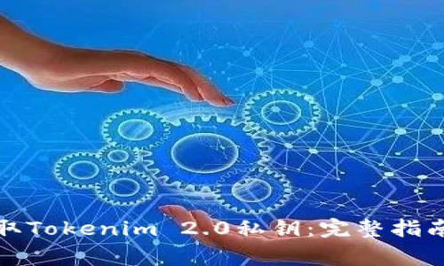 如何安全获取Tokenim 2.0私钥:完整指南与注意事项