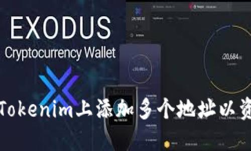 如何在Tokenim上添加多个地址以资产管理