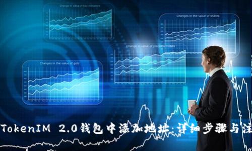 如何在TokenIM 2.0钱包中添加地址:详细步骤与注意事项