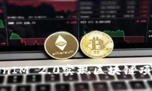如何利用TokenIM 2.0实现区块链项目的成功推进
