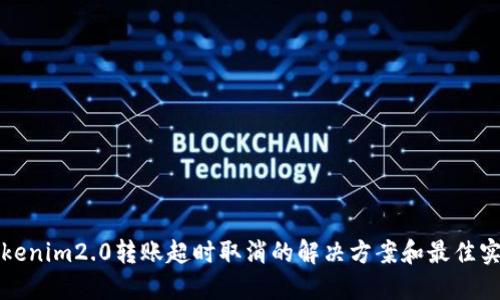 Tokenim2.0转账超时取消的解决方案和最佳实践