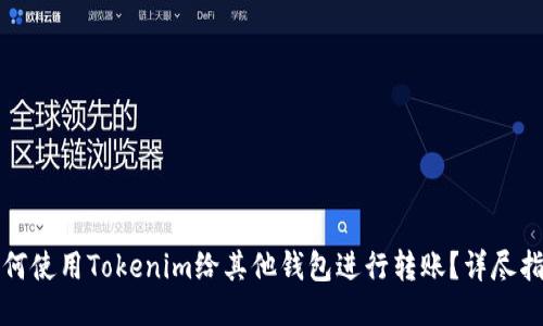 如何使用Tokenim给其他钱包进行转账?详尽指南