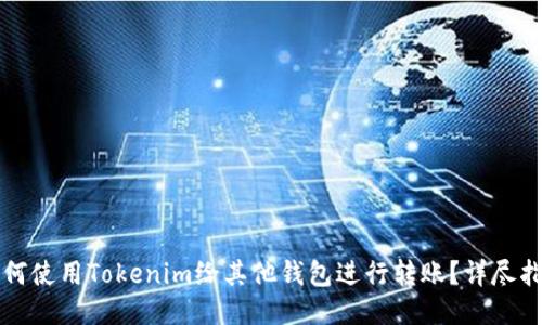 如何使用Tokenim给其他钱包进行转账?详尽指南