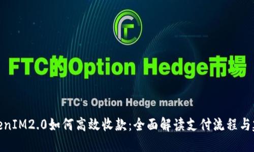 TokenIM2.0如何高效收款:全面解读支付流程与建议