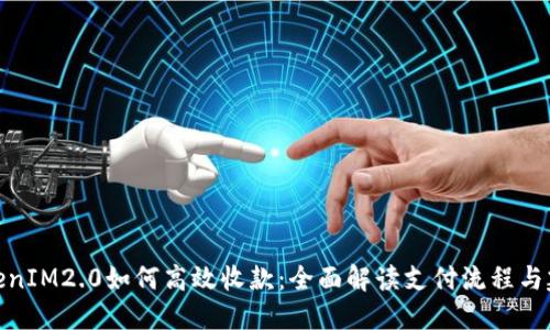 TokenIM2.0如何高效收款:全面解读支付流程与建议